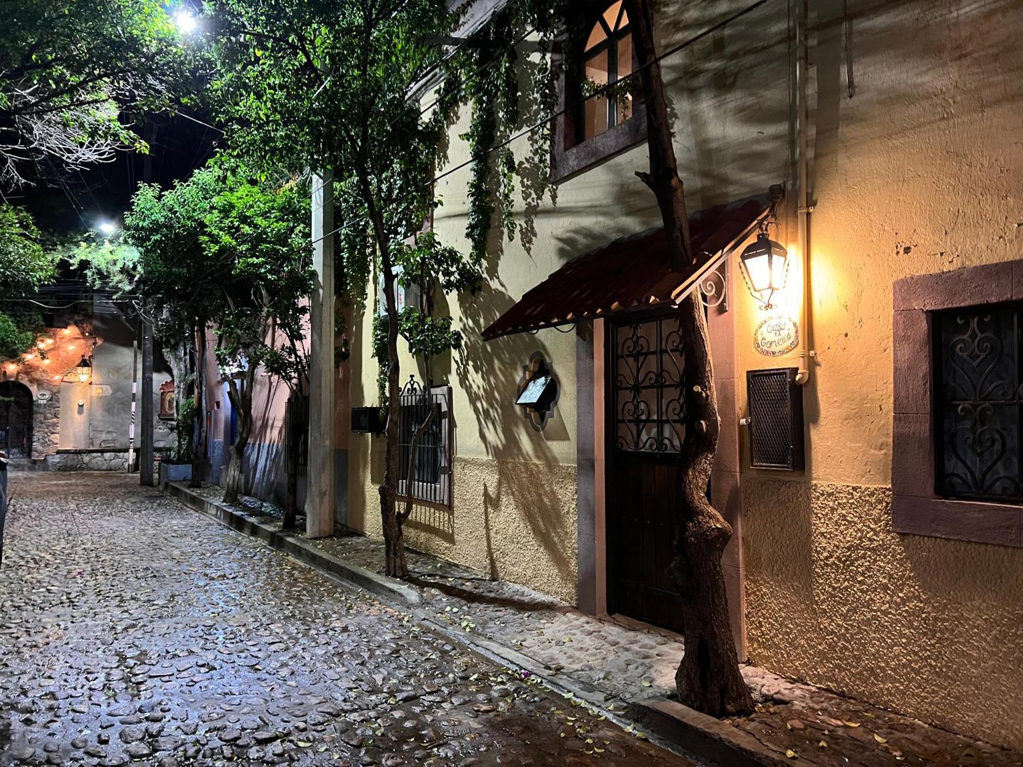 Boutique Hotel Casa Camellia Сан Мигел де Аленде Екстериор снимка