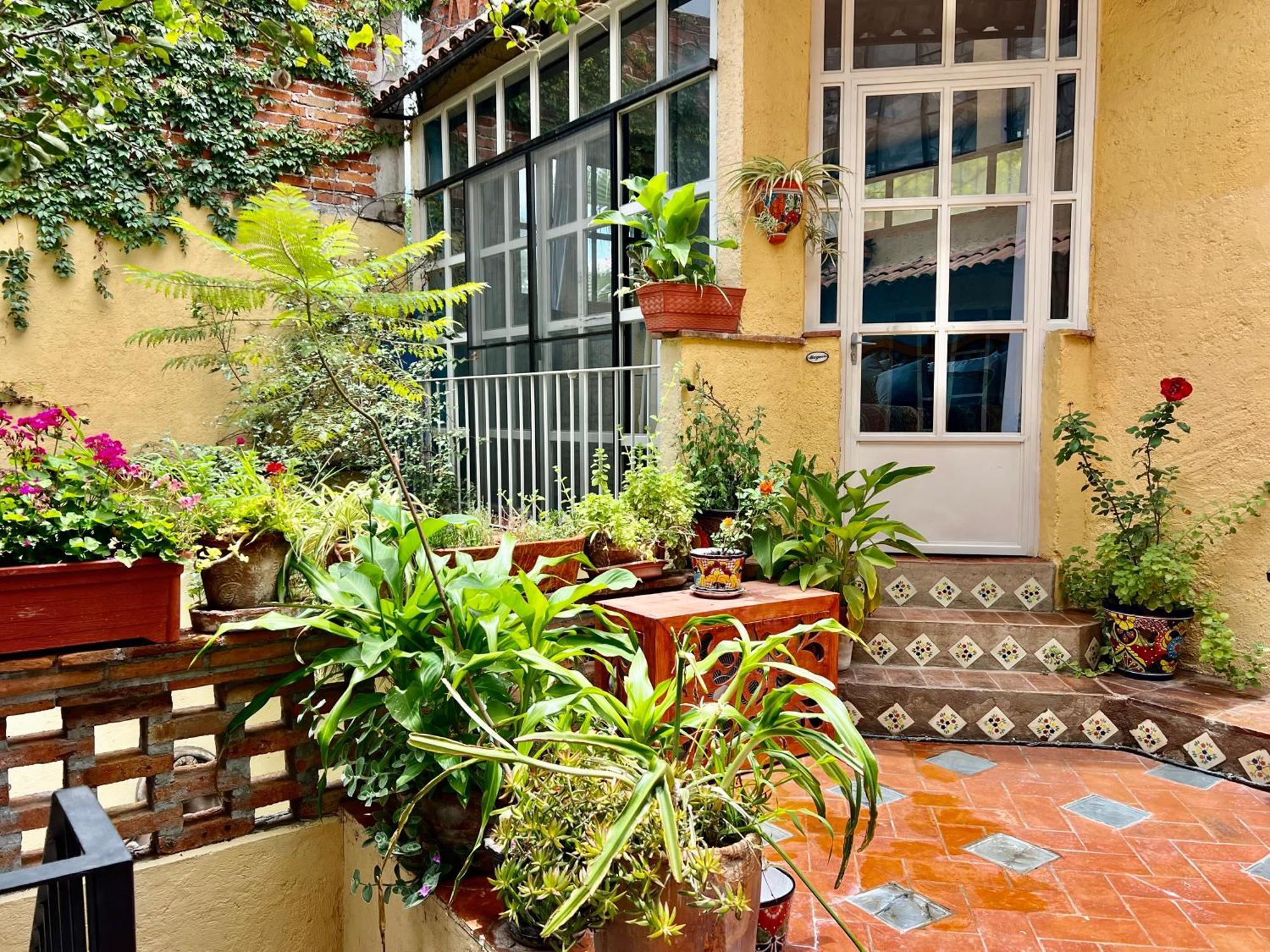 Boutique Hotel Casa Camellia Сан Мигел де Аленде Екстериор снимка