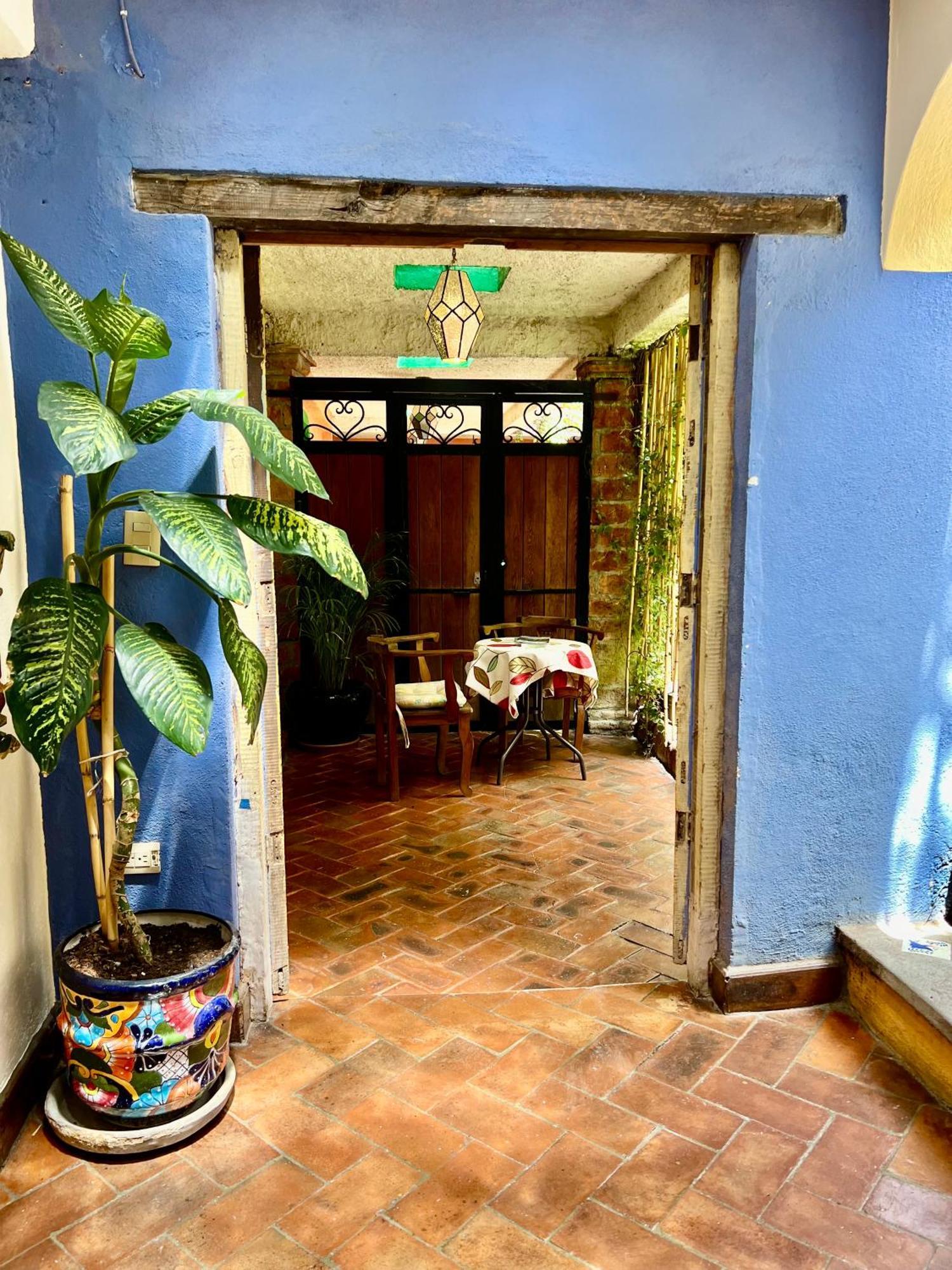 Boutique Hotel Casa Camellia Сан Мигел де Аленде Екстериор снимка